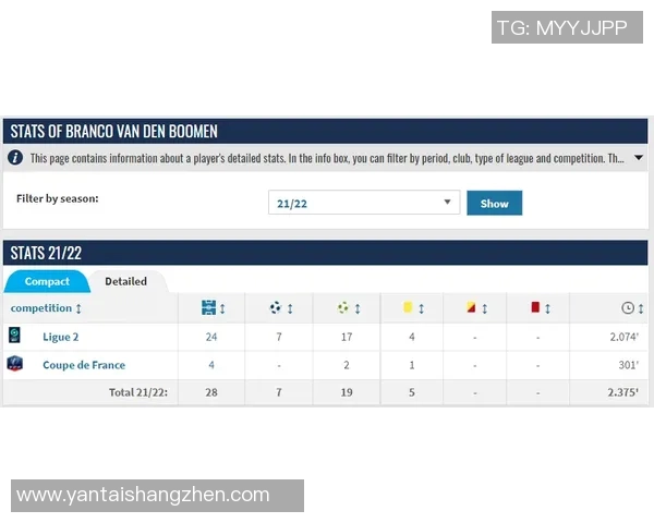 布尔格与沙托鲁的较量揭示法乙联赛新动态与球队发展潜力